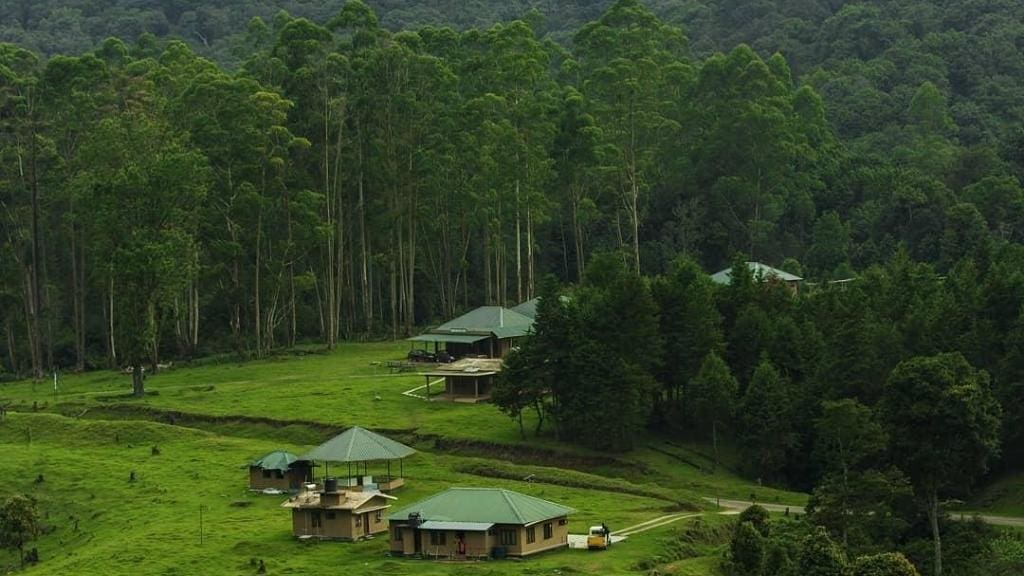 Pampadum Shola National Park
